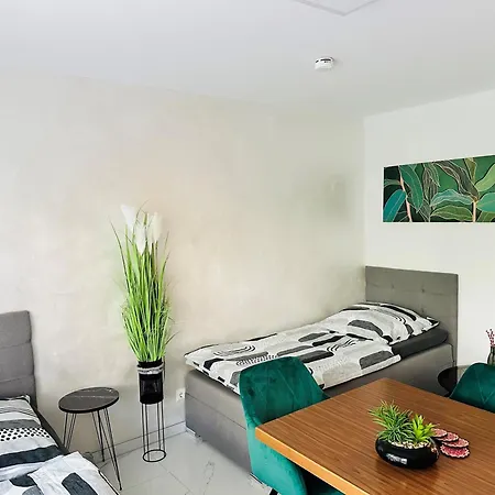Bee61 * Exklusiv Für 4 Personen *vollausstattung Mit Küche* Inklusive Terrasse Apartment Langen (Hessen)