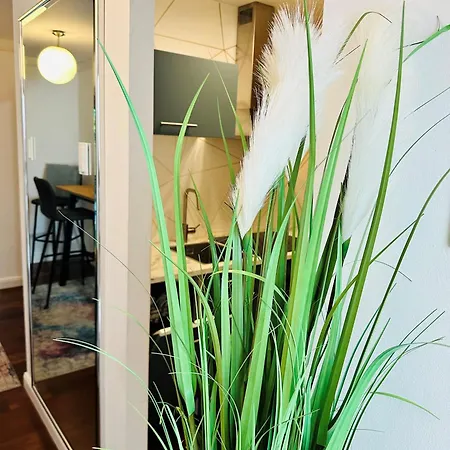 Bee61 * Langen Exklusiv Fuer 4 Personen *vollausstattung Mit Kueche* Inklusive Terrasse Langen (Hessen)